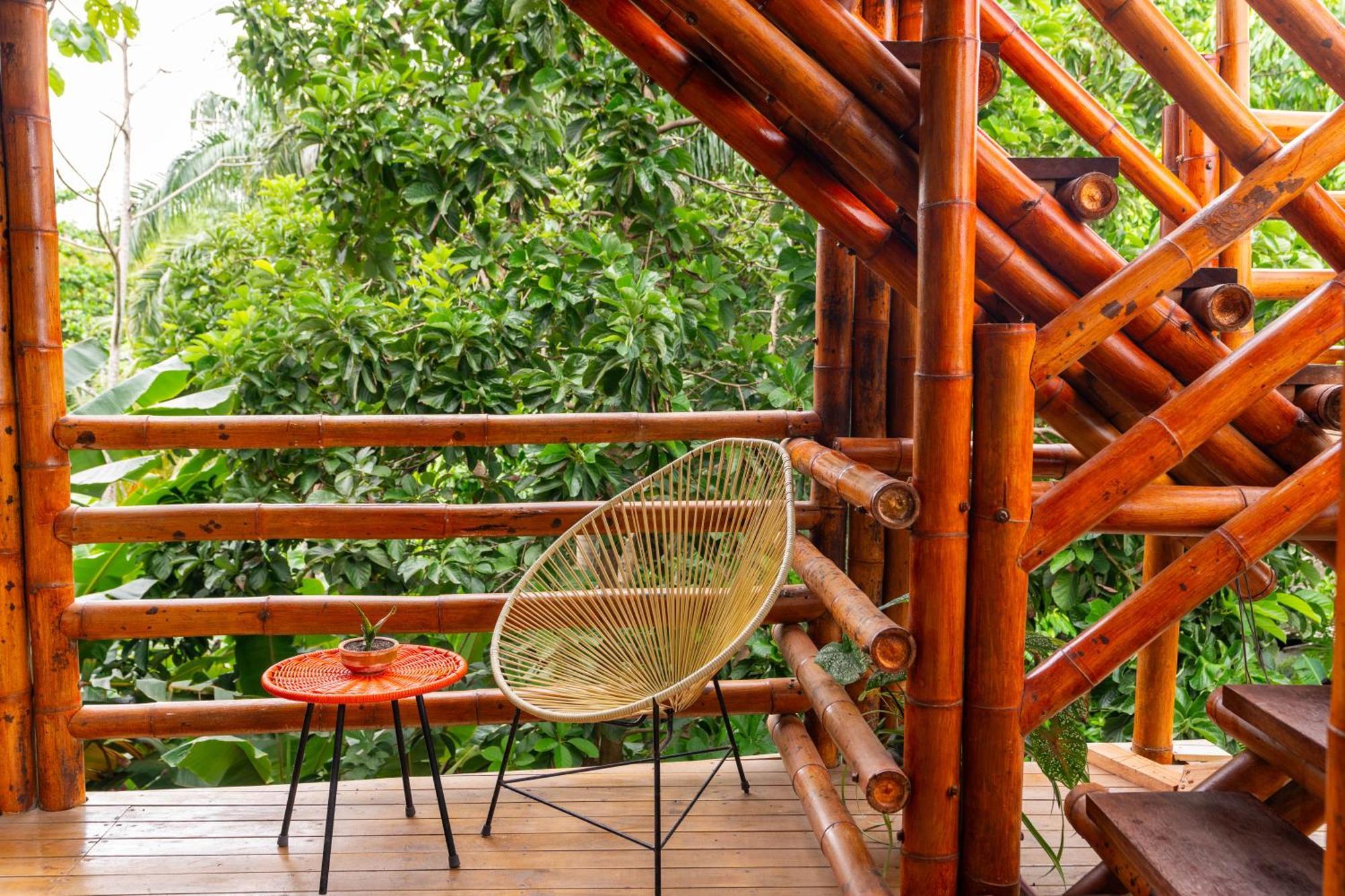 Tayrona Juanchos House Hostel Los Naranjos Exterior photo